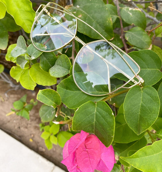 Transparent Eyewear